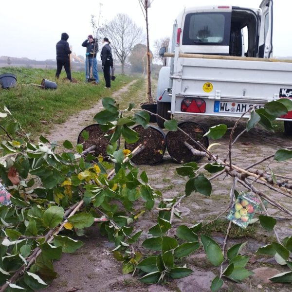 23672252-071c-4441-b0e8-0529487a27d3