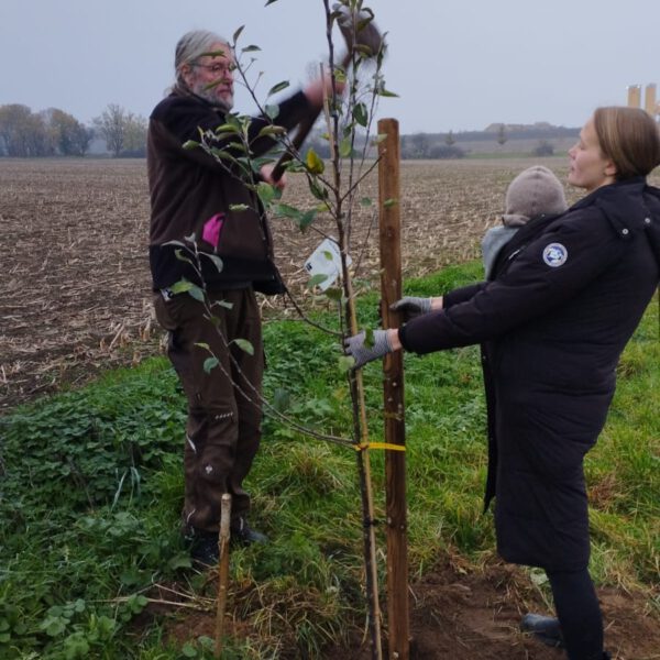 26d424fe-d720-4e15-bfae-e3ff9bfe9ab9