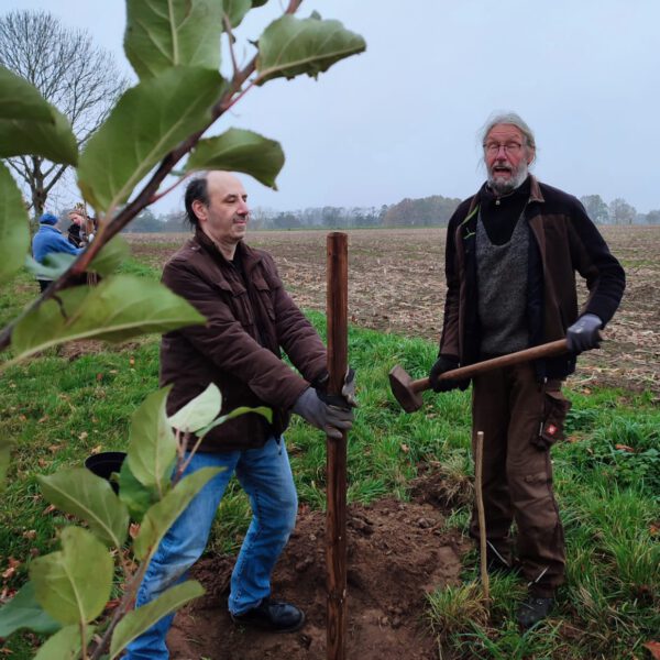 WhatsApp Image 2024-11-09 at 14.31.03 (1)