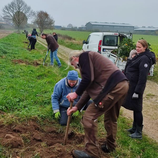 WhatsApp Image 2024-11-09 at 14.31.04 (3)